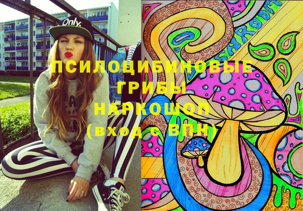 мяу мяу мука Алексин