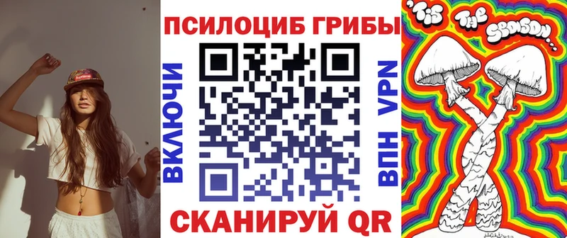 mega зеркало  Казань  Псилоцибиновые грибы мицелий 