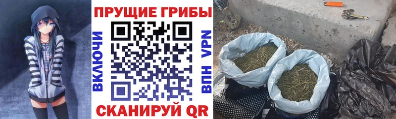 Псилоцибиновые грибы ЛСД Казань
